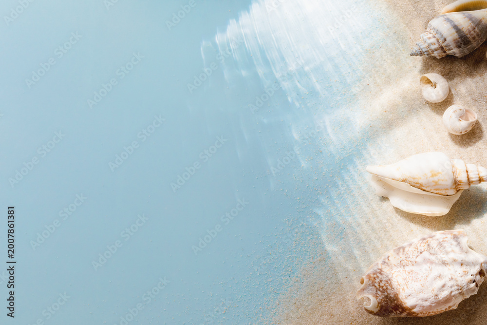 Fototapeta premium Collections of white and beige seashells on light blue background for summer holiday and vacations concept.