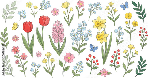 Foto Vintage spring wildflower garden collection featuring hand drawn tulip, daffodil