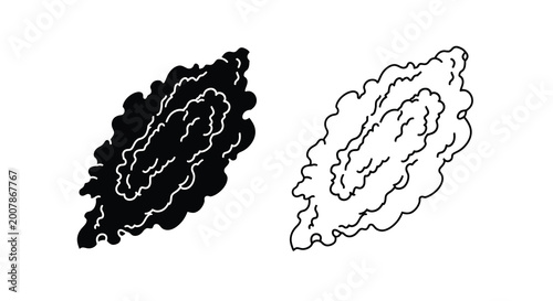 Billede på lærred Bitter melon illustration two versions of a textured vegetable drawing