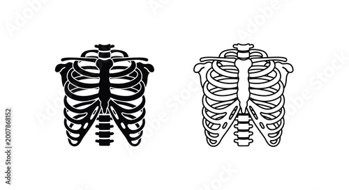 Foto Anatomical illustration of human rib cage and sternum in black and white