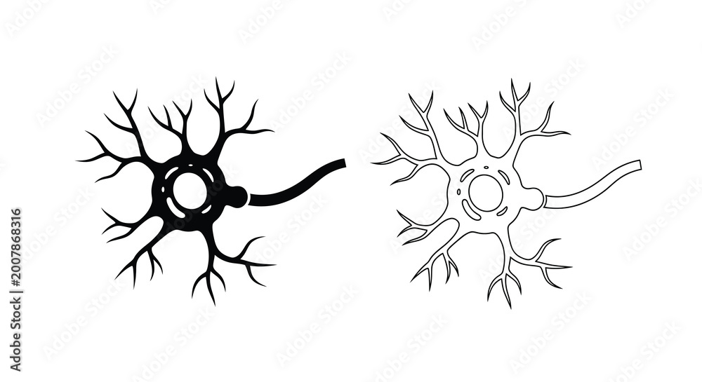 Fototapeta premium Neuron illustration detailed black and white depiction of a nerve cell structure