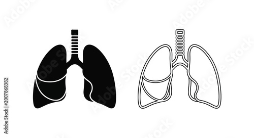 Foto Human lungs anatomy illustration a comparative view of internal and external str