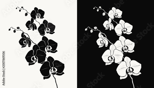 Seamless black and white floral pattern with nature elements like leaves and butterflies in a vector illustration design for a spring wallpaper background