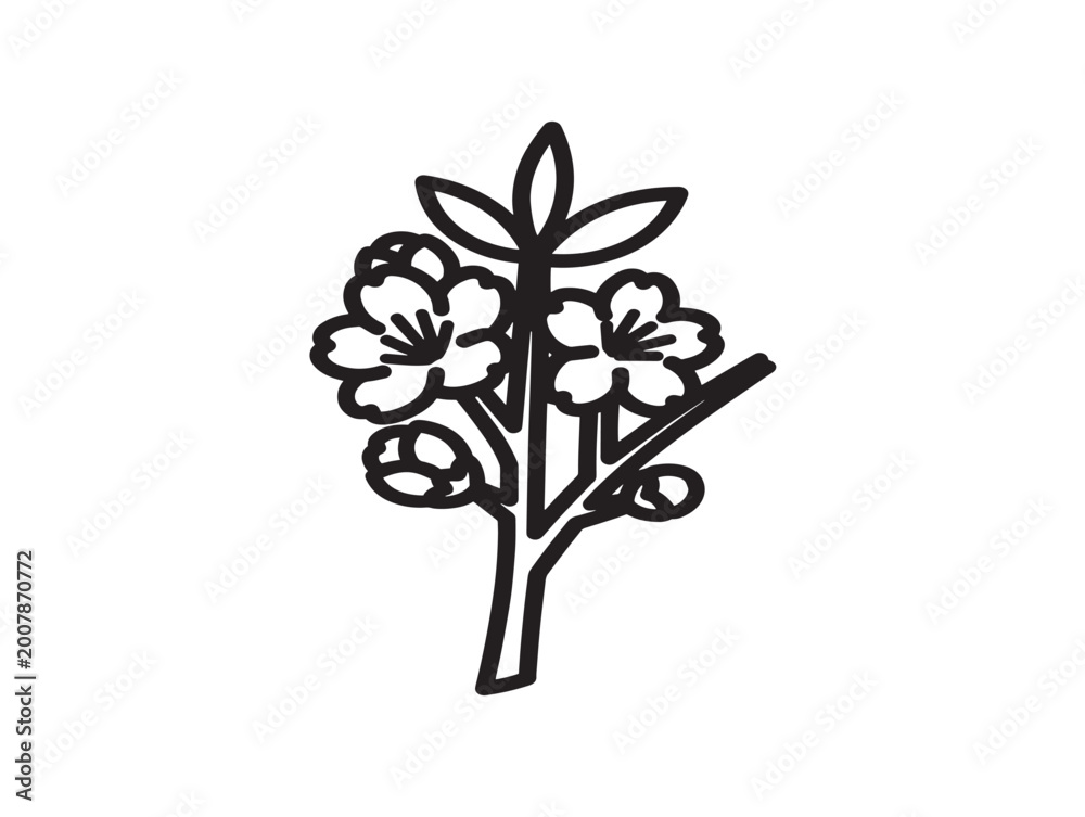 Obraz premium cherry blossom branch with flowers vector illustration flat design
