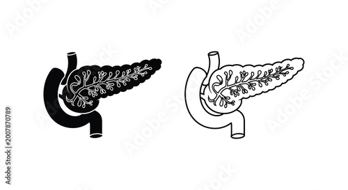 Foto Detailed illustration of the human pancreas anatomical structure and digestive s