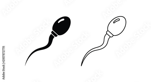 Photos Two sperm cells a detailed illustration of male reproductive anatomy
