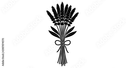 Photos Wheat, grain, sheaf, bundle, black, vector, illustration, agriculture, harvest