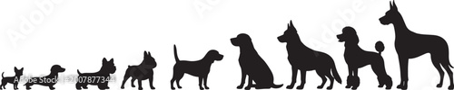 Bild auf Leinwand Silhouettes of diverse dog breeds arranged by size, from small to large, on a wh