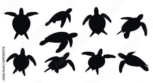 Photos Collection of black turtle silhouettes in various poses isolated on white backgr