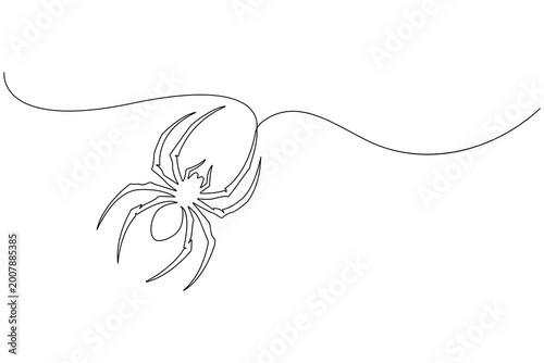 Spider continuous one line drawing minimalist style isolated outline vector illustration design