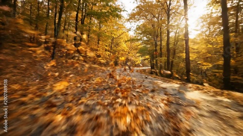 Golden autumn light filters through colorful orange and yellow leaves along a peaceful forest path winding through the trees of a scenic nature park