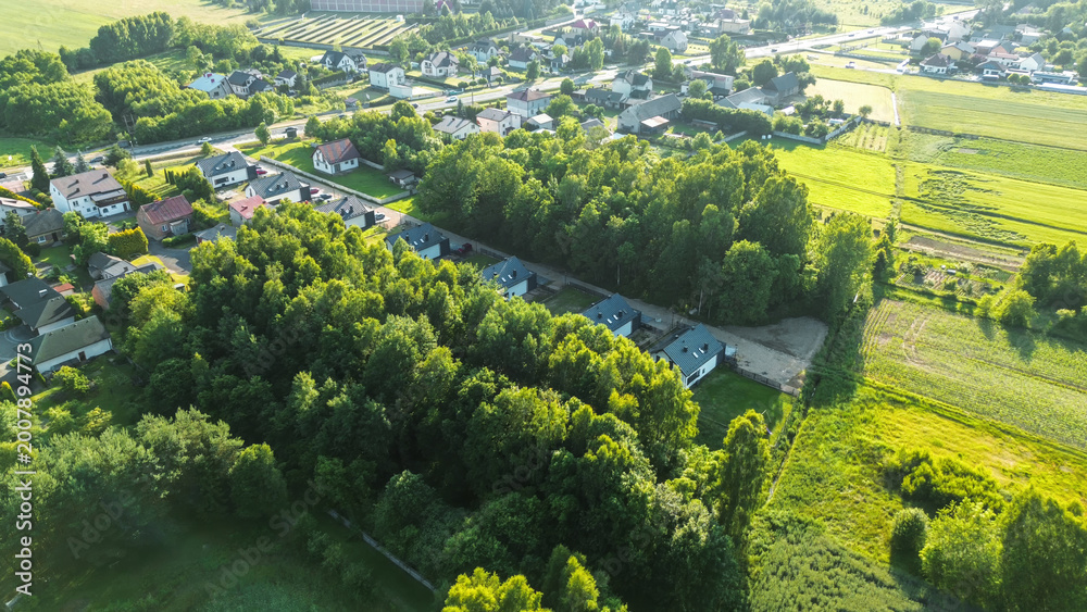 Naklejka premium Newly built houses surrounded by natural greenery