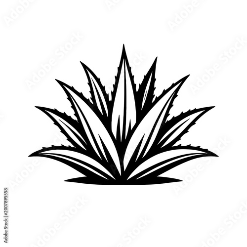 A black silhouette of an agave plant on a white background, showcasing its sharp, spiky leaves and natural beauty.