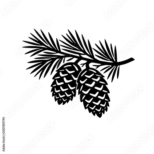 Black silhouette of pine cones on a branch with needles on white background