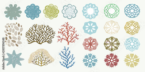 Canvas Print Collection of underwater coral and marine life illustrations on a white backgrou
