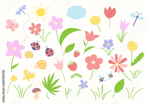 Cute isolated summer nature clipart set with flowers, insects and plants. Colorful flat vector collection perfect for kids design, nursery decor, invitations, stickers and seasonal projects