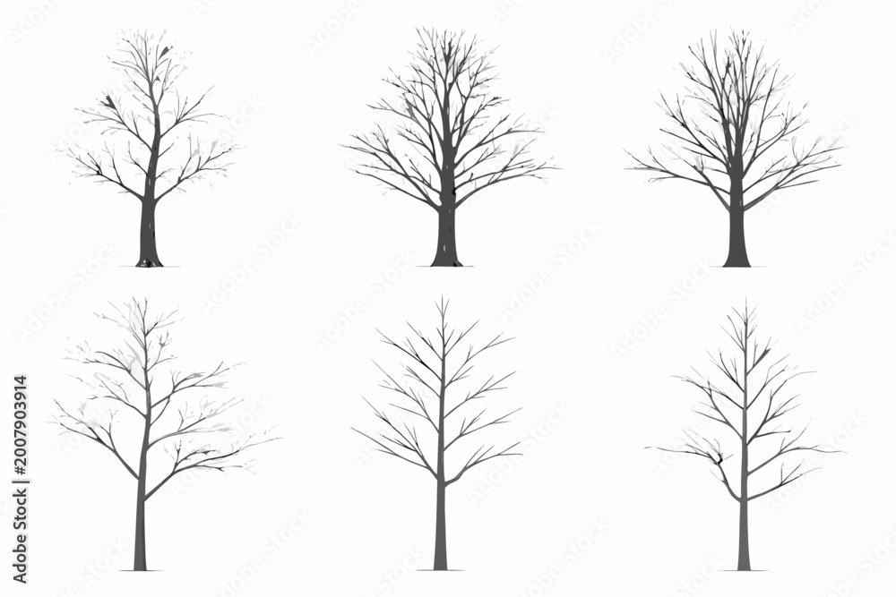 Fototapeta premium Bare tree silhouettes six variations on a white background