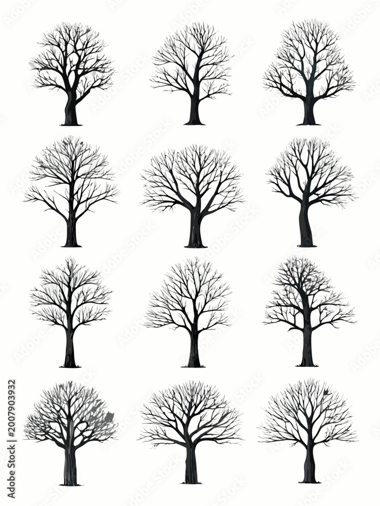 Obraz premium Bare tree silhouettes collection on a white background