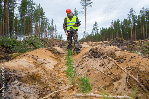 A man, a forest engineer, checks the quality of forest planting work.
