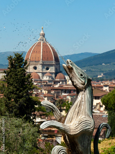 Italia, Toscana, Firenze, il Giardino delle Rose.
