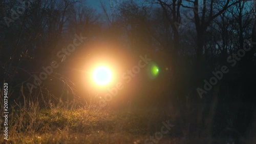 Wide Shot Flashlight Beam Moving In Dark Forest At Night lifestyle