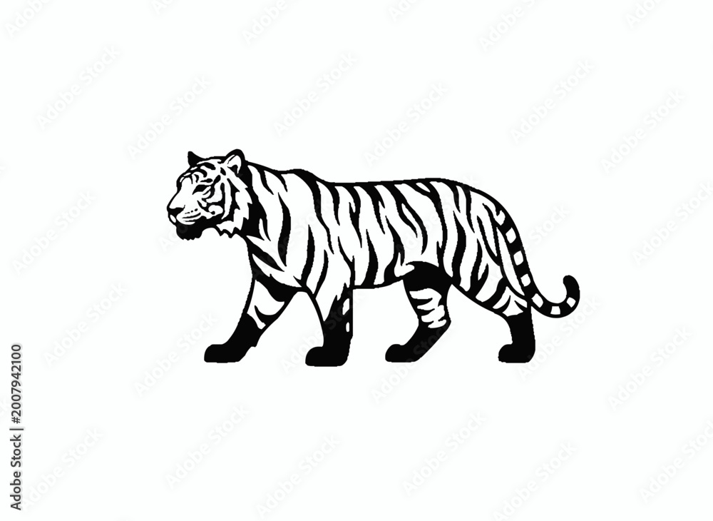 Obraz premium Monochrome Tiger in Stride: A majestic tiger, rendered in striking monochrome, strides confidently across the frame, showcasing its powerful form and distinctive striped pattern.