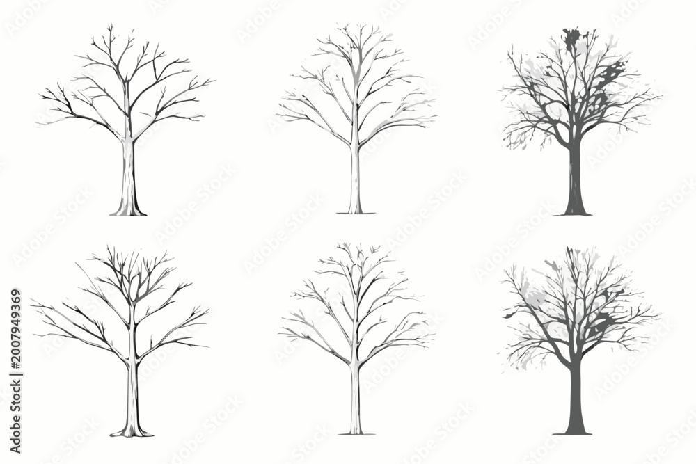 Obraz premium Bare tree silhouettes six variations on a white background