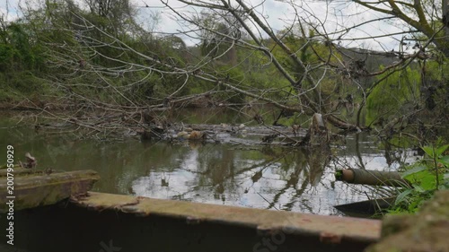 Fallen Dried Tree Branches in River with Accumulated Plastic Trash and Pollution