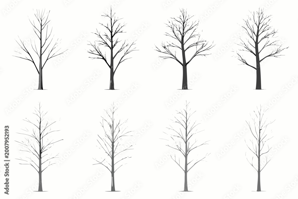 Obraz premium Bare tree silhouettes eight variations on white background
