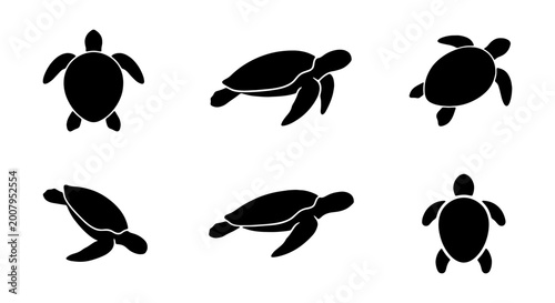 Tableau sur toile Turtle icons, sea turtle silhouettes, black turtle graphics, ocean animal symbol