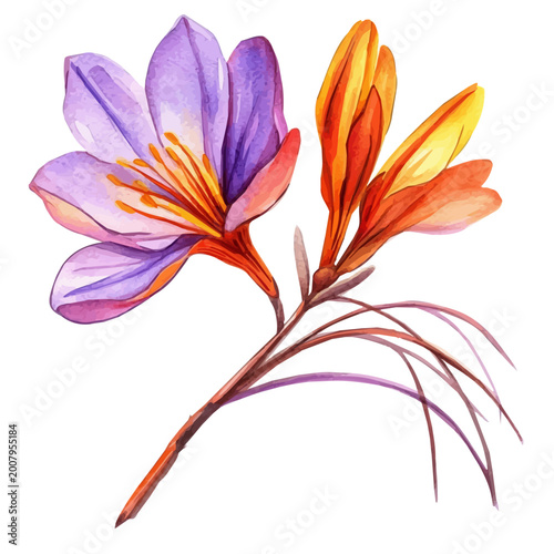 Canvas Print Saffron Branch, beautiful watercolor illustration with vivid colors and detailed vector style, isolated on a white background