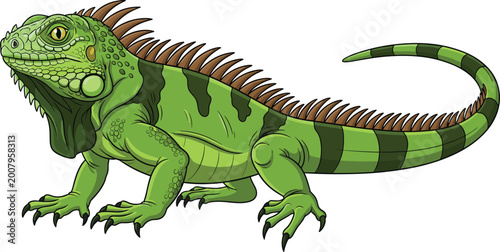 Fotografie Green iguana reptile vector illustration with realistic tropical lizard wildlife