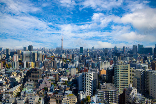 東京の風景を望む晴れた日の広大な都市景観