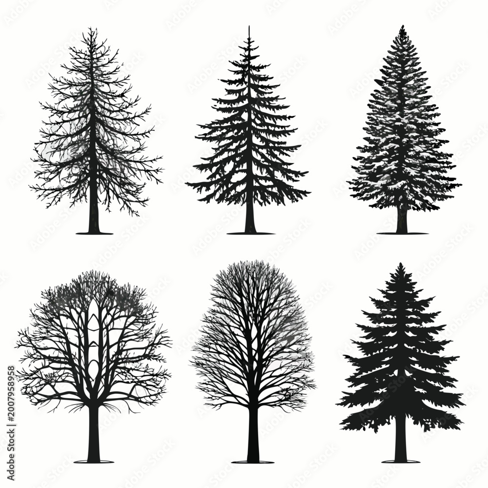 Fototapeta premium Six tree silhouettes various types black line art on white background