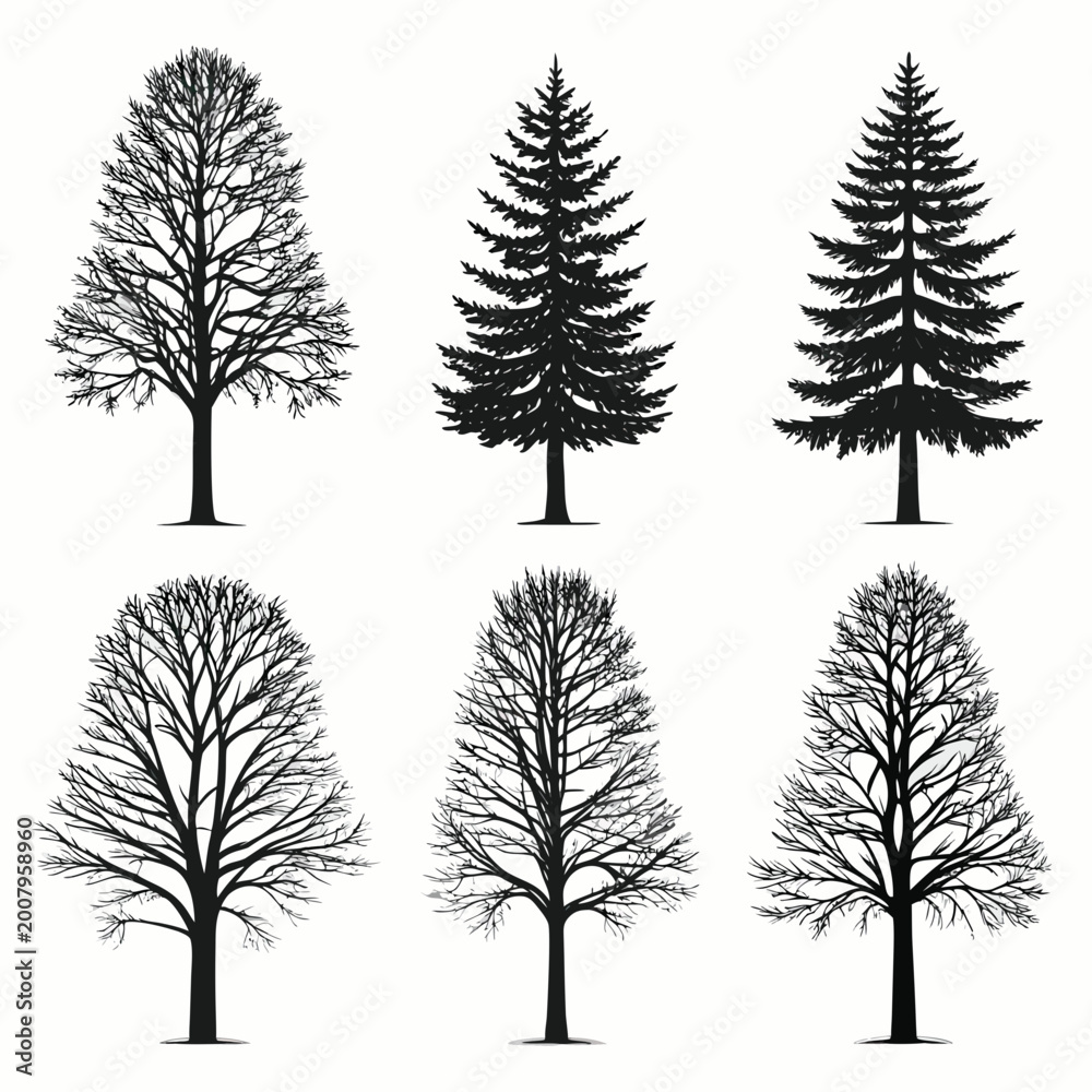 Fototapeta premium Variety of tree silhouettes black line art on white background