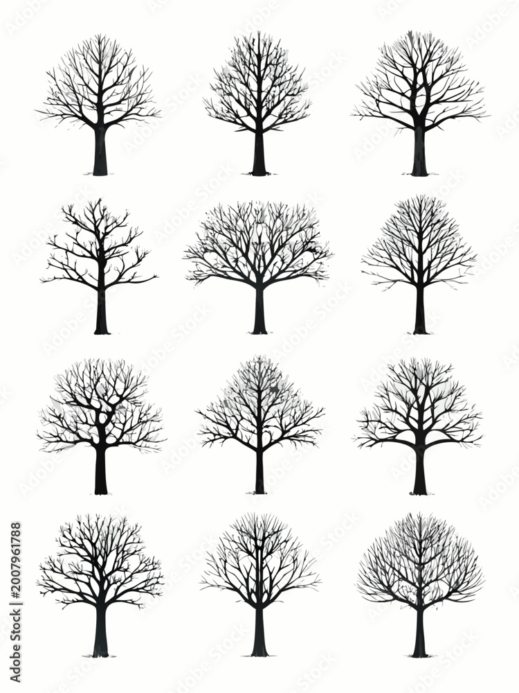 Fototapeta premium Bare tree silhouettes collection on a white background