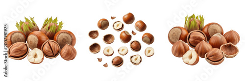 Konstfotografi Set and collection of sliced hazelnut seeds isolated on white background