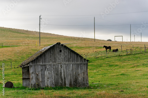 Foto Rustic Wooden Ranch Building and Horses