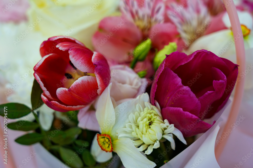 Obraz premium Bright flowers in a basket during a spring gathering in a garden