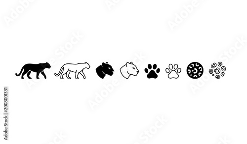 Photography Minimal leopard outline and silhouette vector icon set wildlife symbols and anim