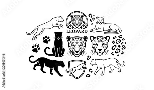 Photography Stylized leopard outline and silhouette symbols vector collection elegant wildli