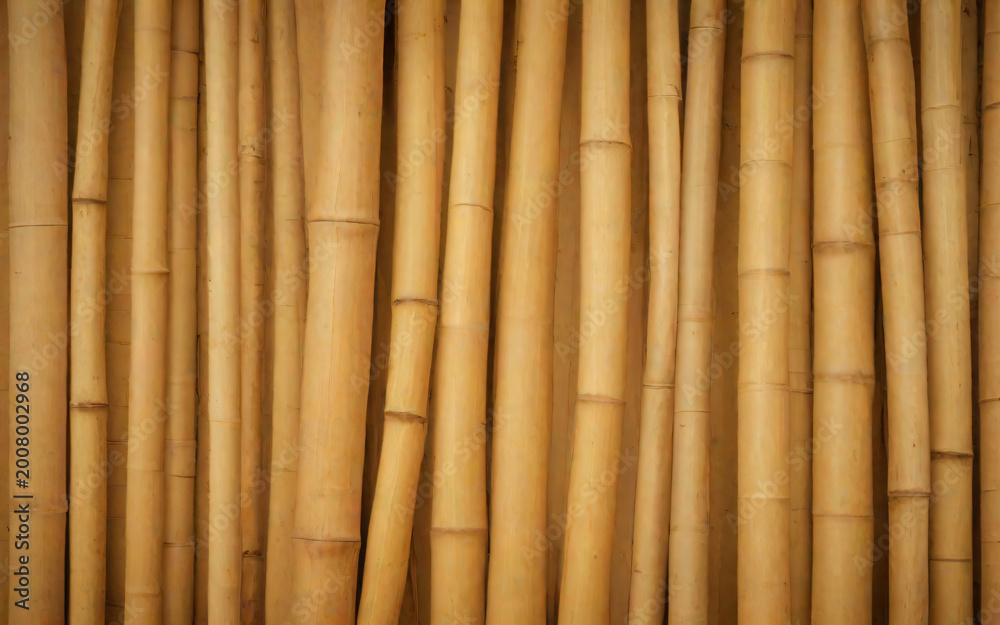 Naklejka premium Bamboo Stems