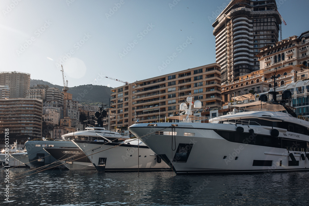 Fototapeta premium Monte Carlo Harbor and yacht marine