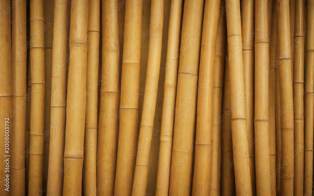 Naklejka premium Bamboo Background