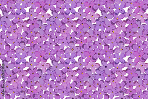 Seamless Lilac Flower Pattern with Geometric Texture, Purple Floral Background, Decorative Botanical Design for Textile, Wallpaper and Packaging