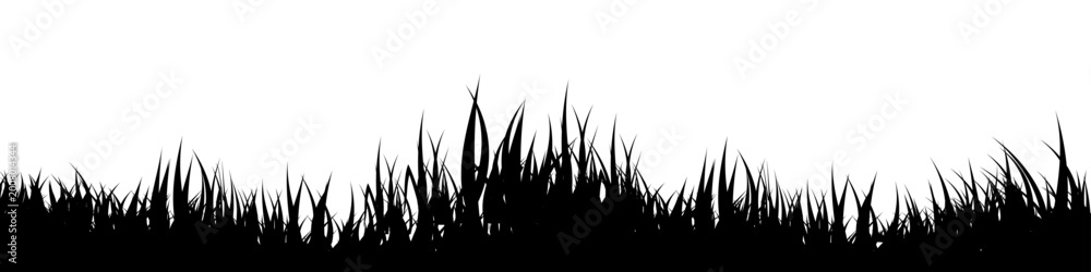 Fototapeta premium Meadow silhouette with grass, plants on plain. Panoramic summer lawn landscape with herbs, various weeds. Herbal border, frame element. Black horizontal banners. Vector illustration