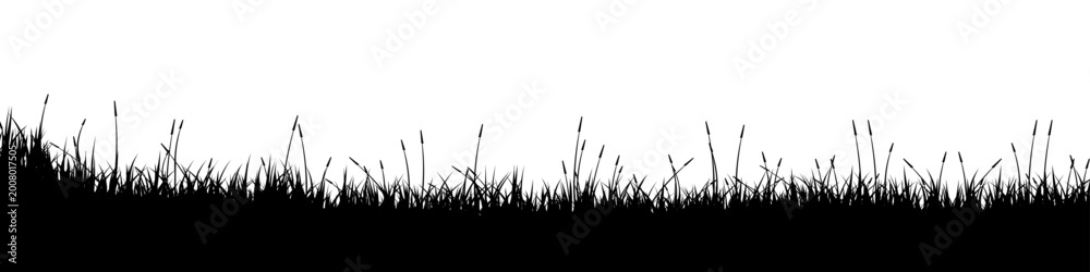Fototapeta premium Meadow silhouette with grass, plants on plain. Panoramic summer lawn landscape with herbs, various weeds. Herbal border, frame element. Black horizontal banners. Vector illustration