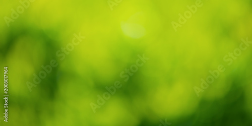 Defocused green natural background. Blurred plant. Defocused leaves.
