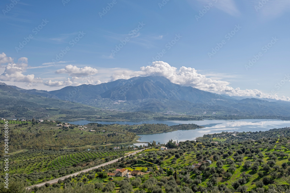 Fototapeta premium Felder mit Olivenbäumen, Andalusien