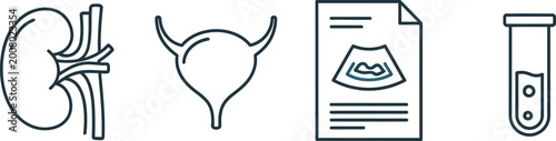Set of medical line icons representing urology diagnostic procedures and anatomy.
